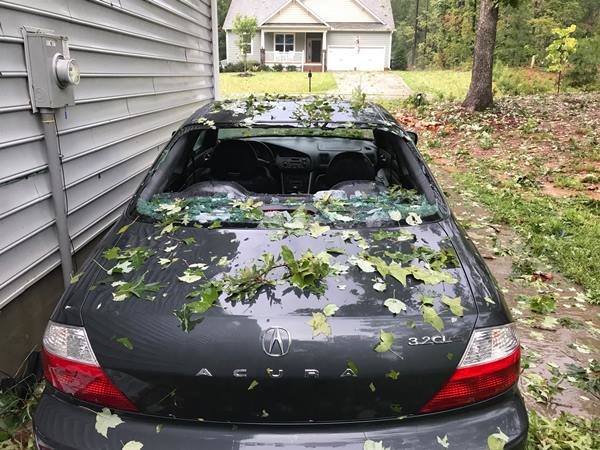Click to enlarge hail damage