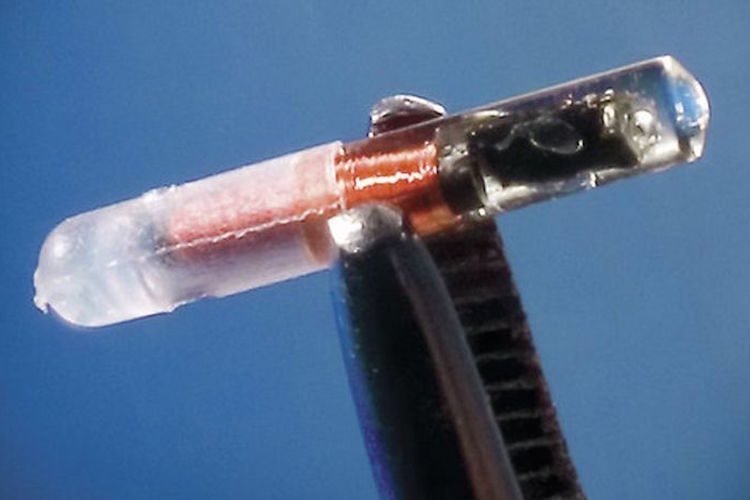 Click to enlarge microchip