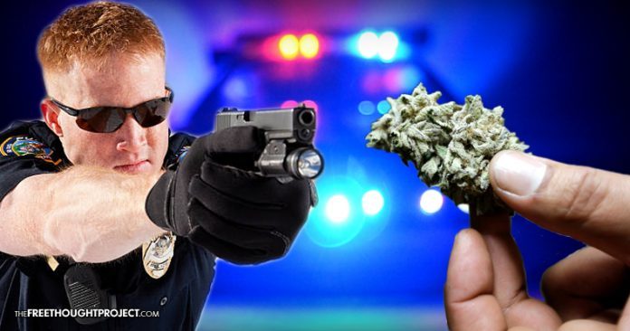 police weed