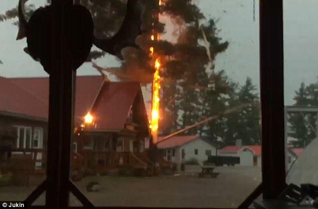 In the dramatic clip a bolt strikes the towering timber with an explosive flash breaking off several branches and just missing the hut