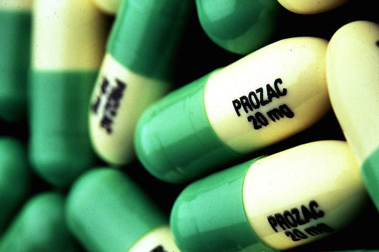 Widely used antidepressant fluoxetine contributing to multiantibiotic