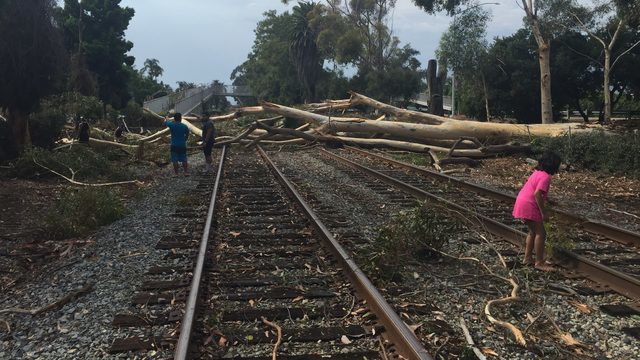 Click to enlarge STORM DAMAGE