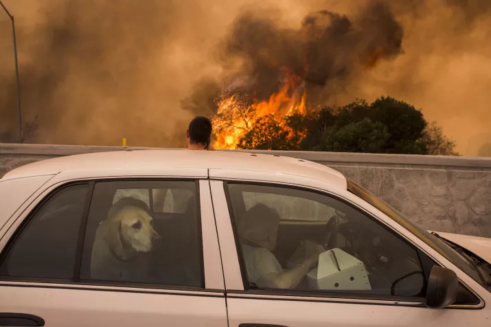 Click to enlarge La Tuna Wildfire