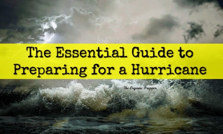 Prepping for hurricane