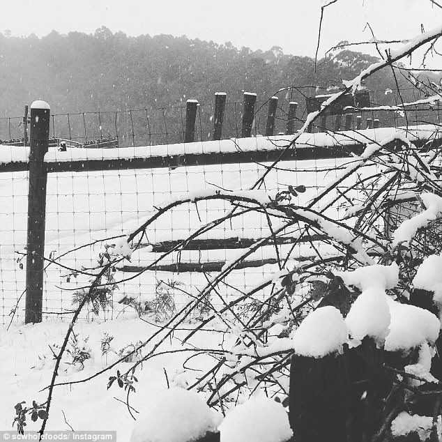 Click to enlarge As a cold snap aw temperatures drop below zero, highlands and other areas turned white