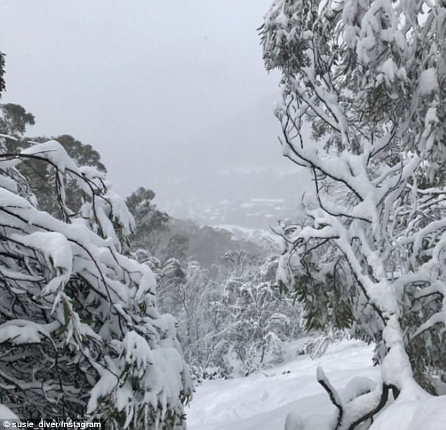 Click to enlarge An Antarctic cold snap swept across parts of south-eastern Australia on Tuesday