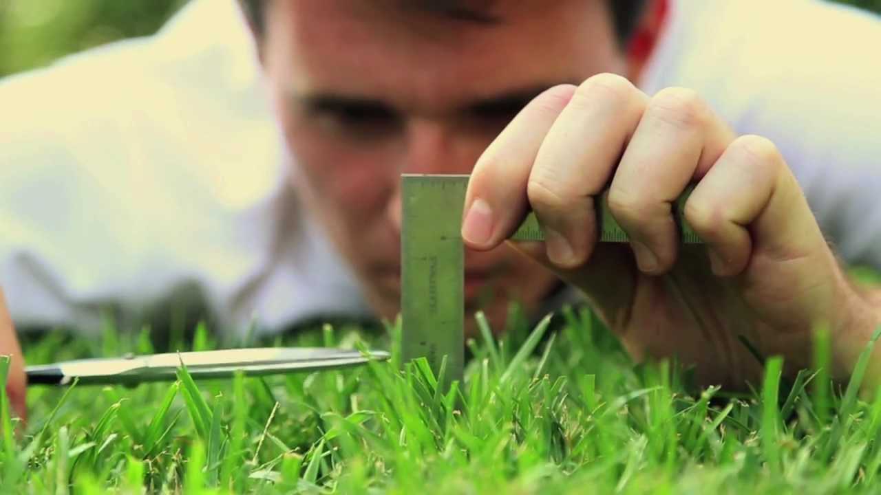 perfectionist, perfectionism