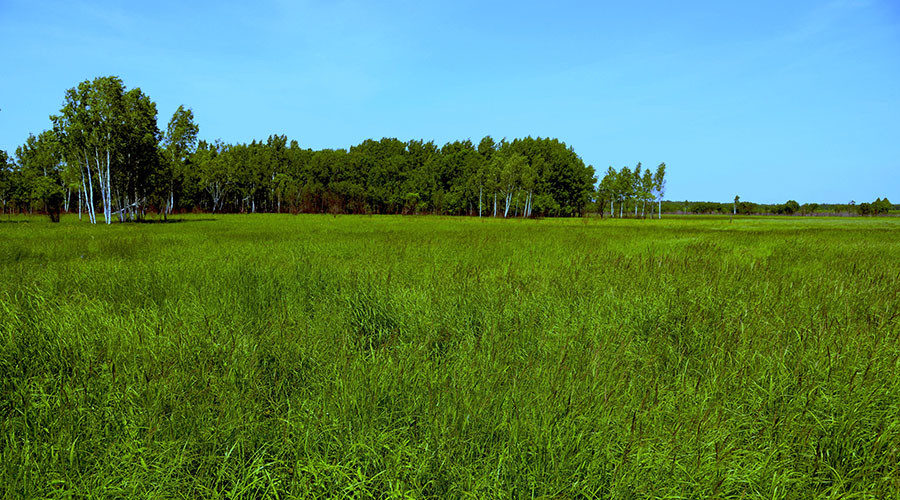 land granted khabarovsk territory