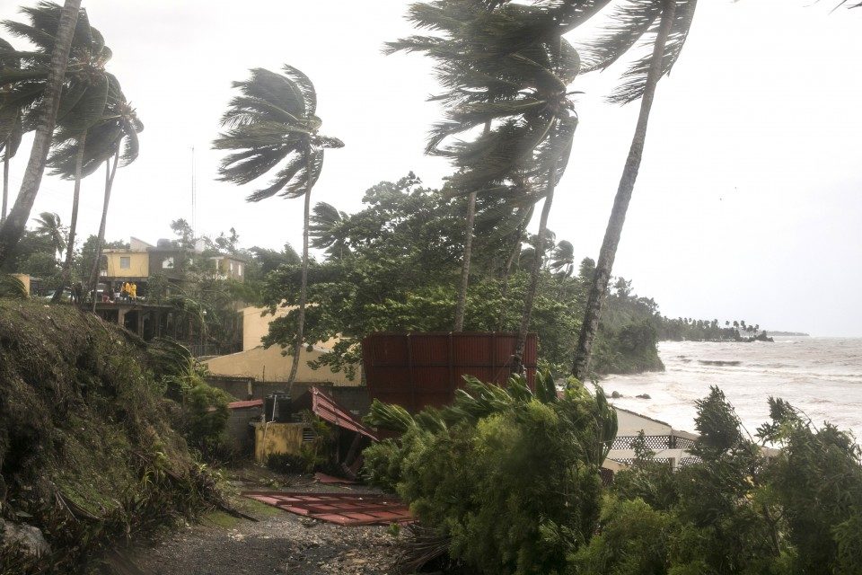 Palm trees bend in Samana, Dominican Republic, on Thursday, as Irma roared off the northern coast of the island the country shares with Haiti