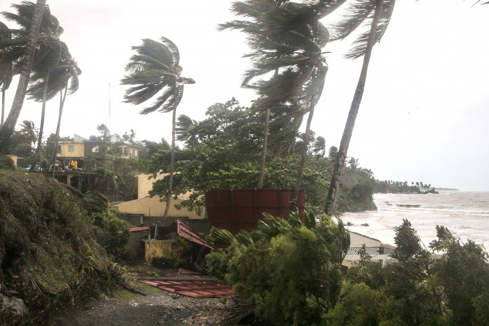 Click to enlarge Palm trees bend in Samana, Dominican Republic, on Thursday, as Irma roared off the northern coast of the island the country shares with Haiti