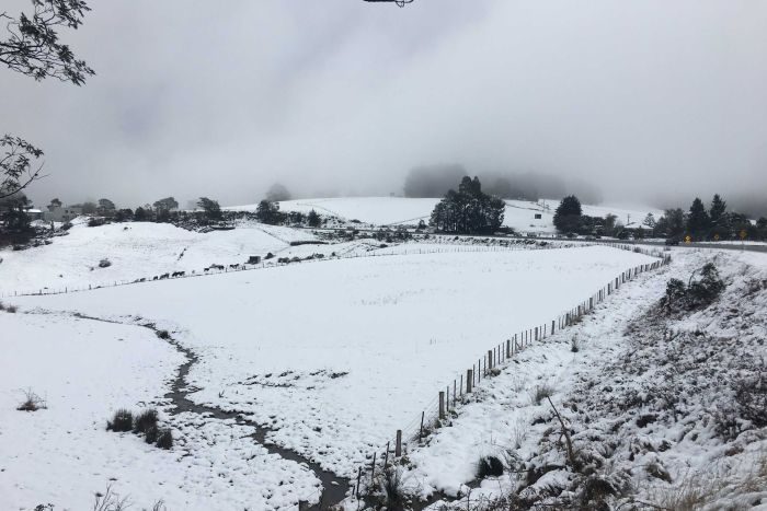 The snow has taken its toll on sheep farmers, coming during lambing season.