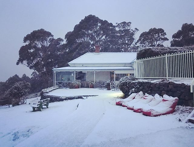 Click to enlarge snow