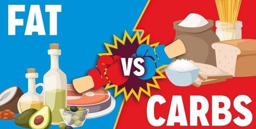 fat vs carbs