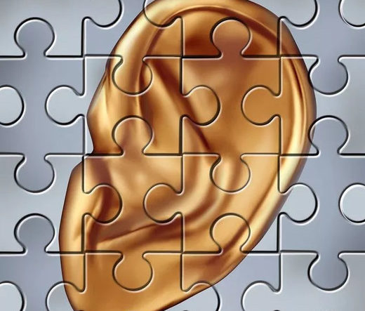 ear puzzle