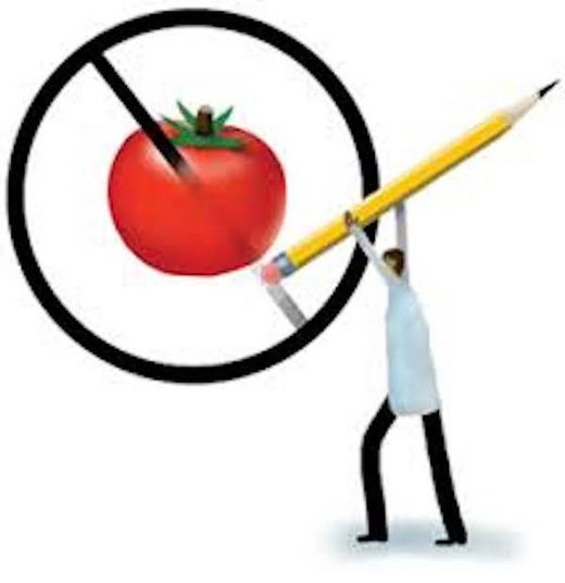 Click to enlarge GMO false statements