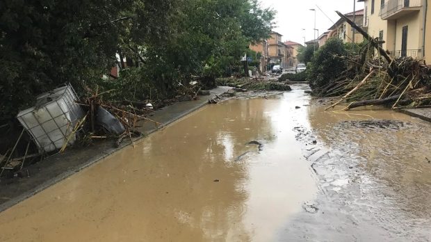 Trees lie on a flooded street in Leghorn, Italy, Sunday, Sept. 10, 2017.