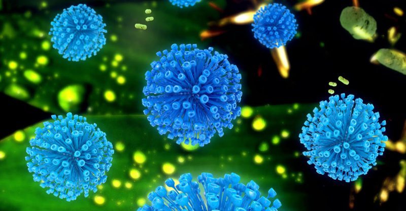 Click to enlarge Retro Virus