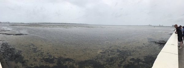 Hurricane Irma