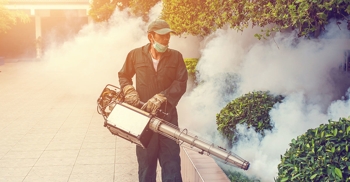 Click to enlarge insecticides