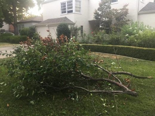 wind storm San Francisco