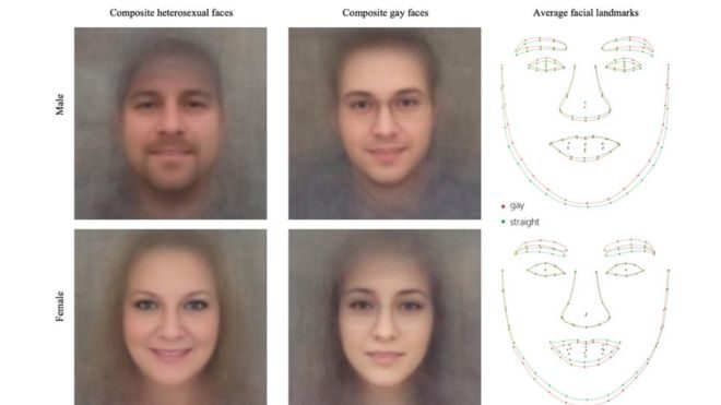 Click to enlarge Gay AI identification software