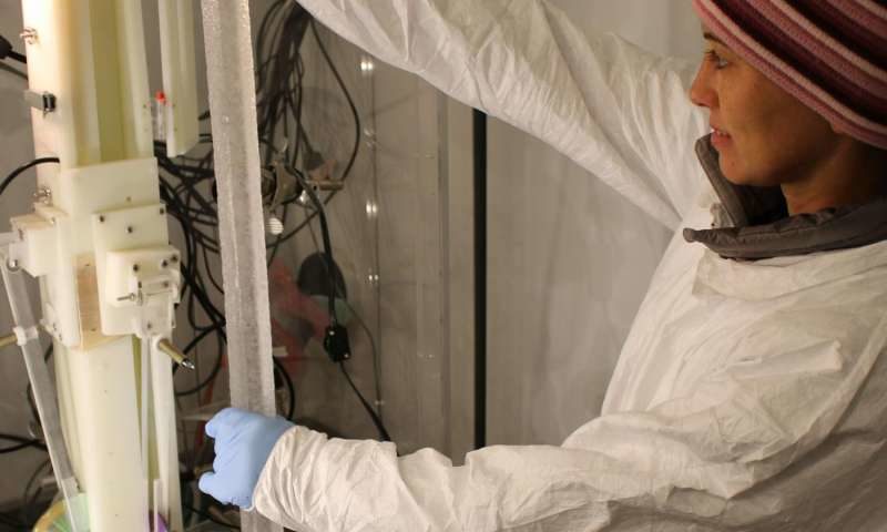 Click to enlarge ice core scientist