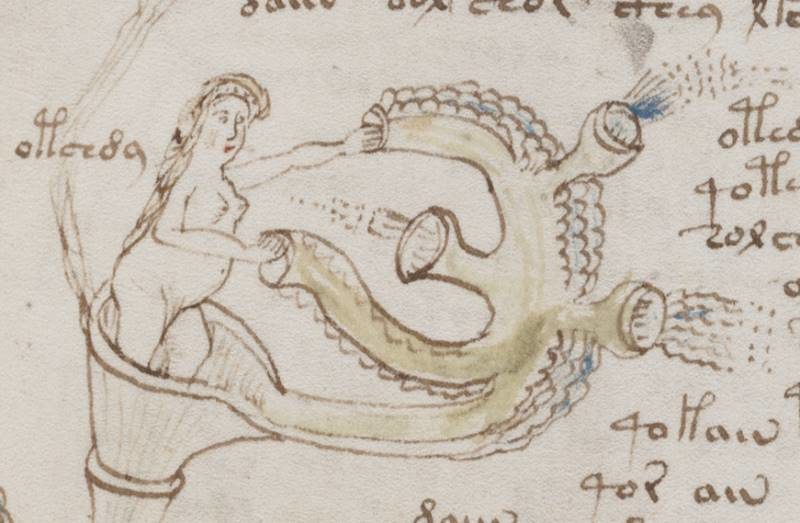 Click to enlarge voynich manuscript page
