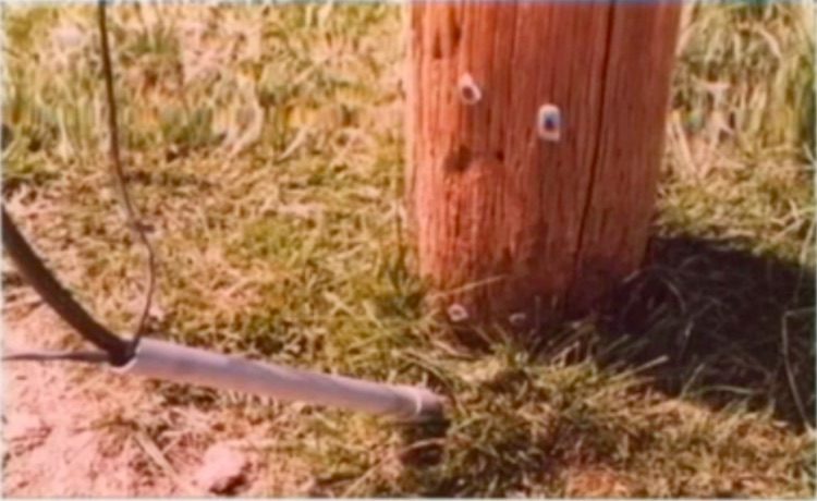 SW ranch