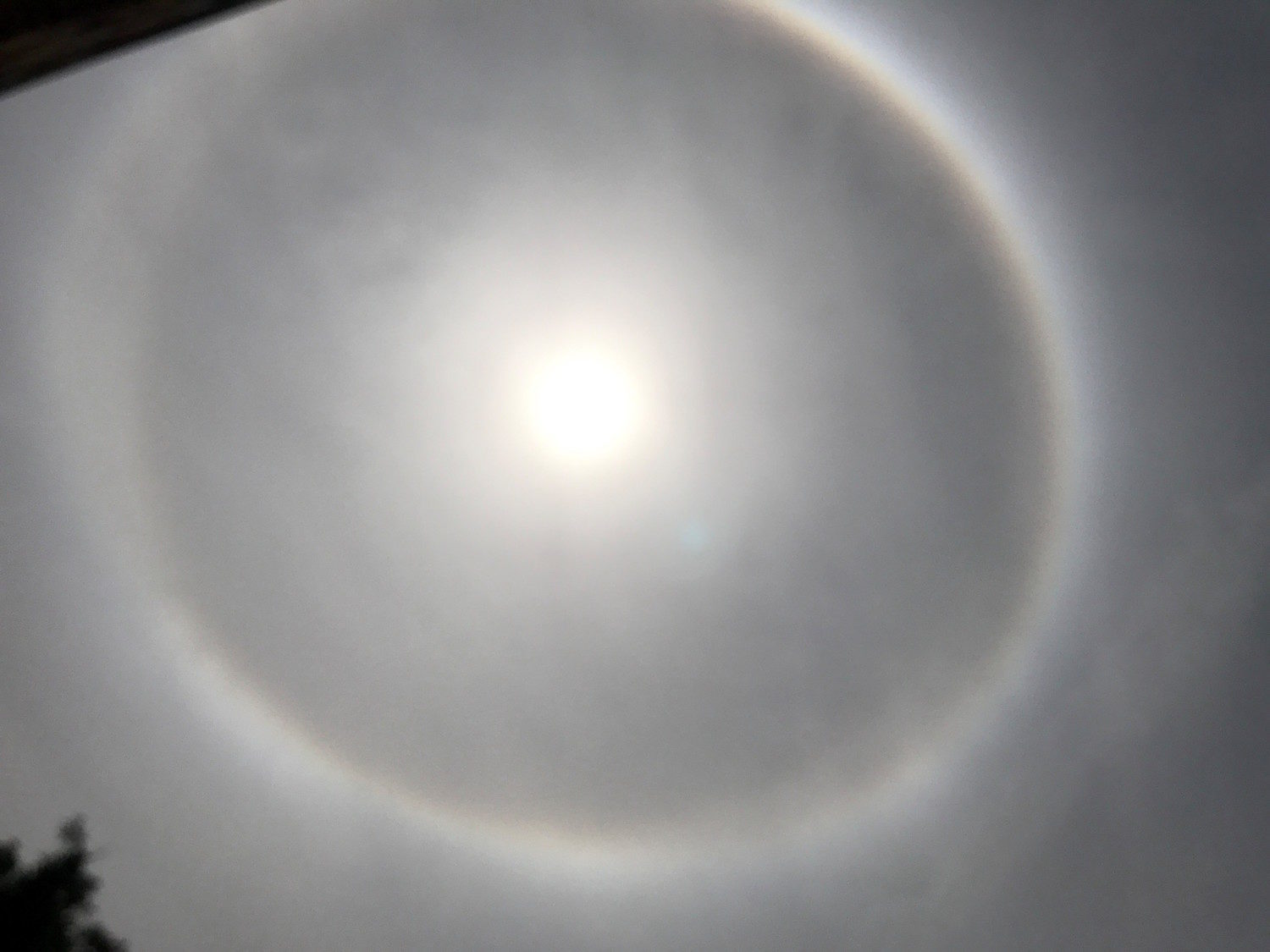Wilson NC sun halo