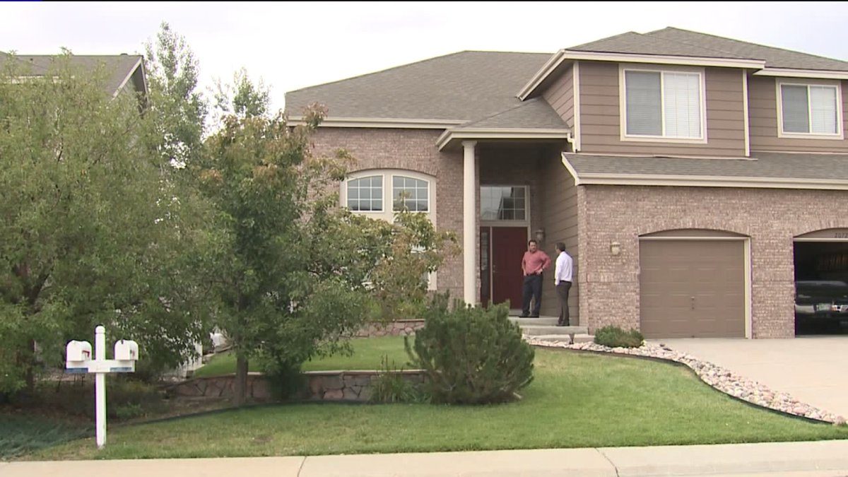 Decapitated rabbits in Aurora, CO