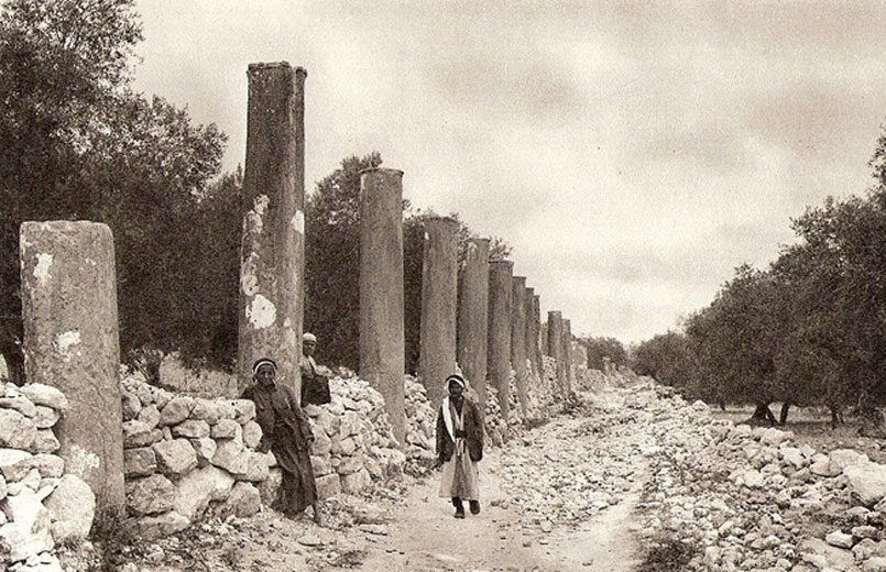 Pillars Samaria ruins