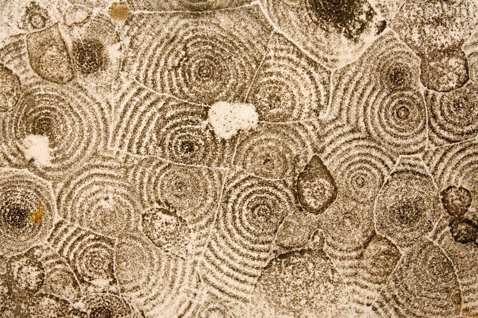 Click to enlarge mold