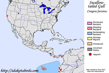 map gull
