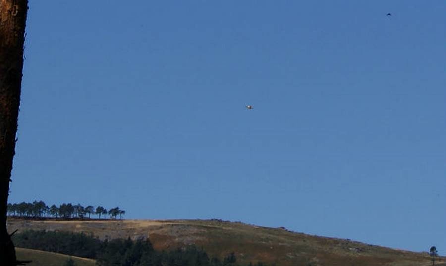 UFO Portugal