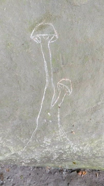 mushroom vandalism