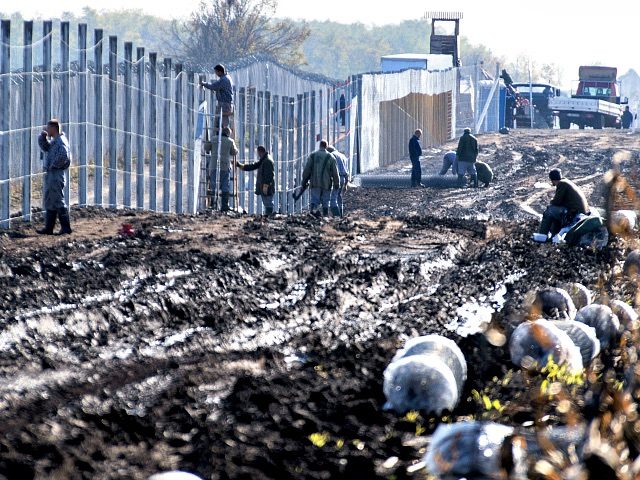 Click to enlarge hungary wall