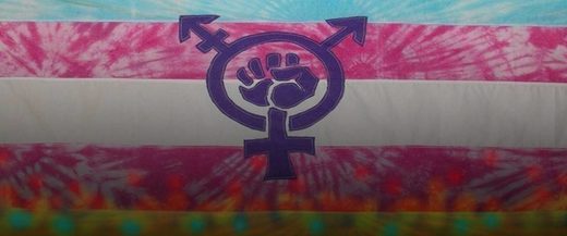 transgender flag