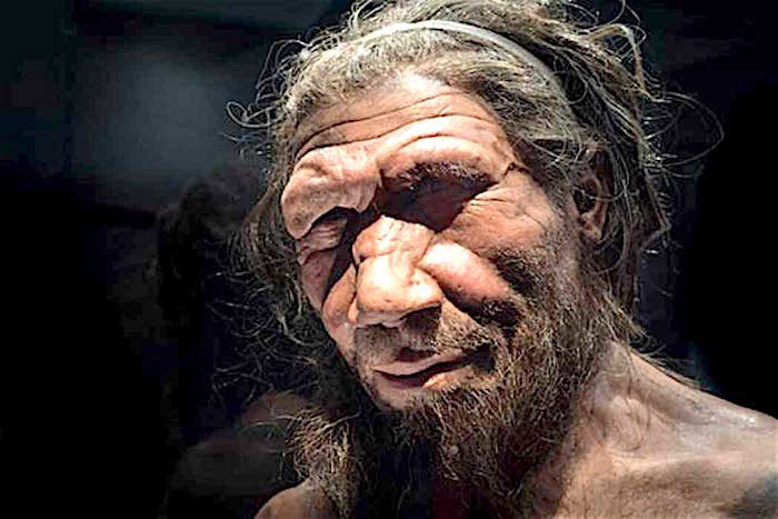 Click to enlarge Neanderthal guy