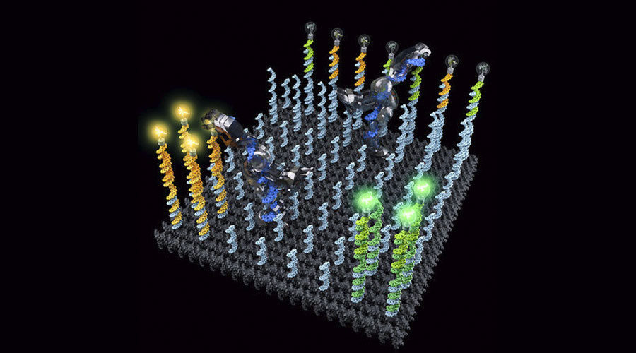 two DNA robots sorting fluorescent molecules