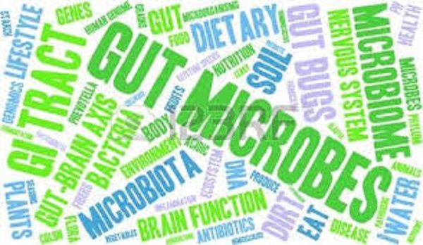 Gut microbes