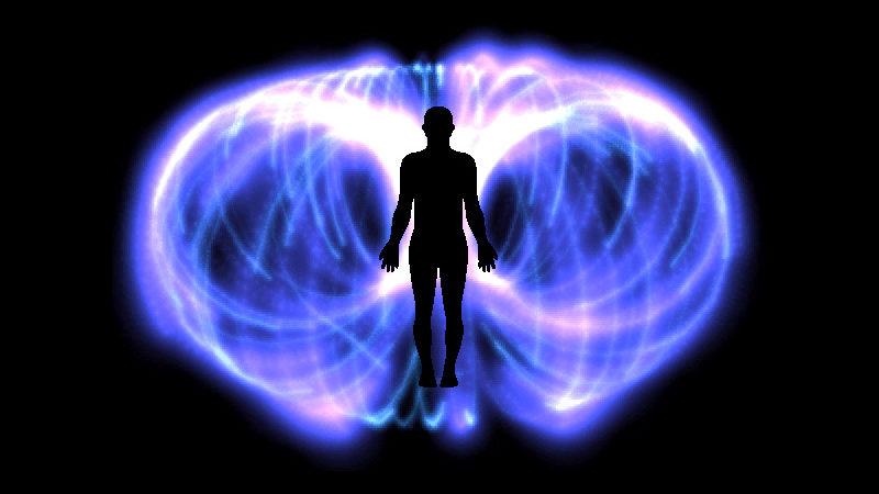 human body electromagnetic field