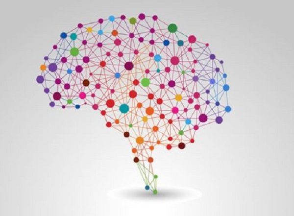 brain connections
