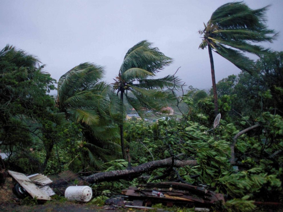 hurricane maria gaudeloupe