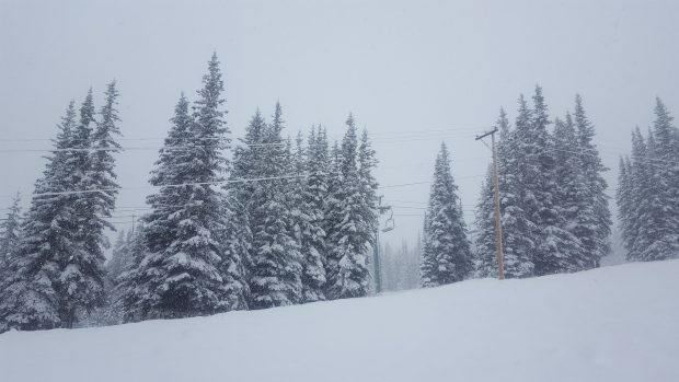 Click to enlarge Fresh snow at Jasper's Marmot Basin ski resort.