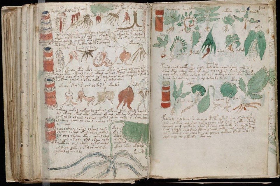 Voynich Manuscript