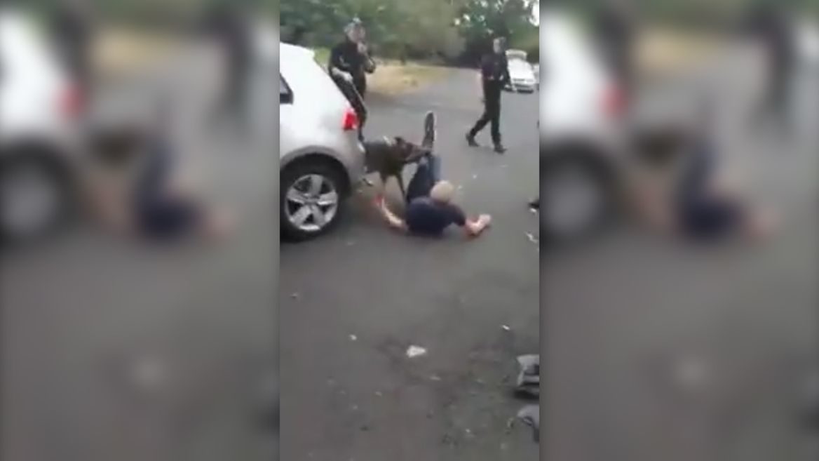 Traveller mauled by police dog