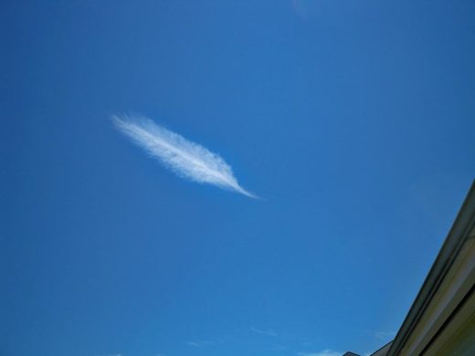Click to enlarge Feather-cloud