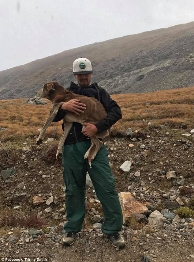 dog_found