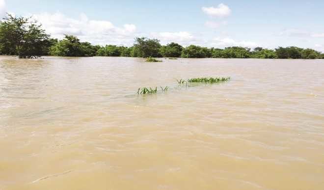 floods