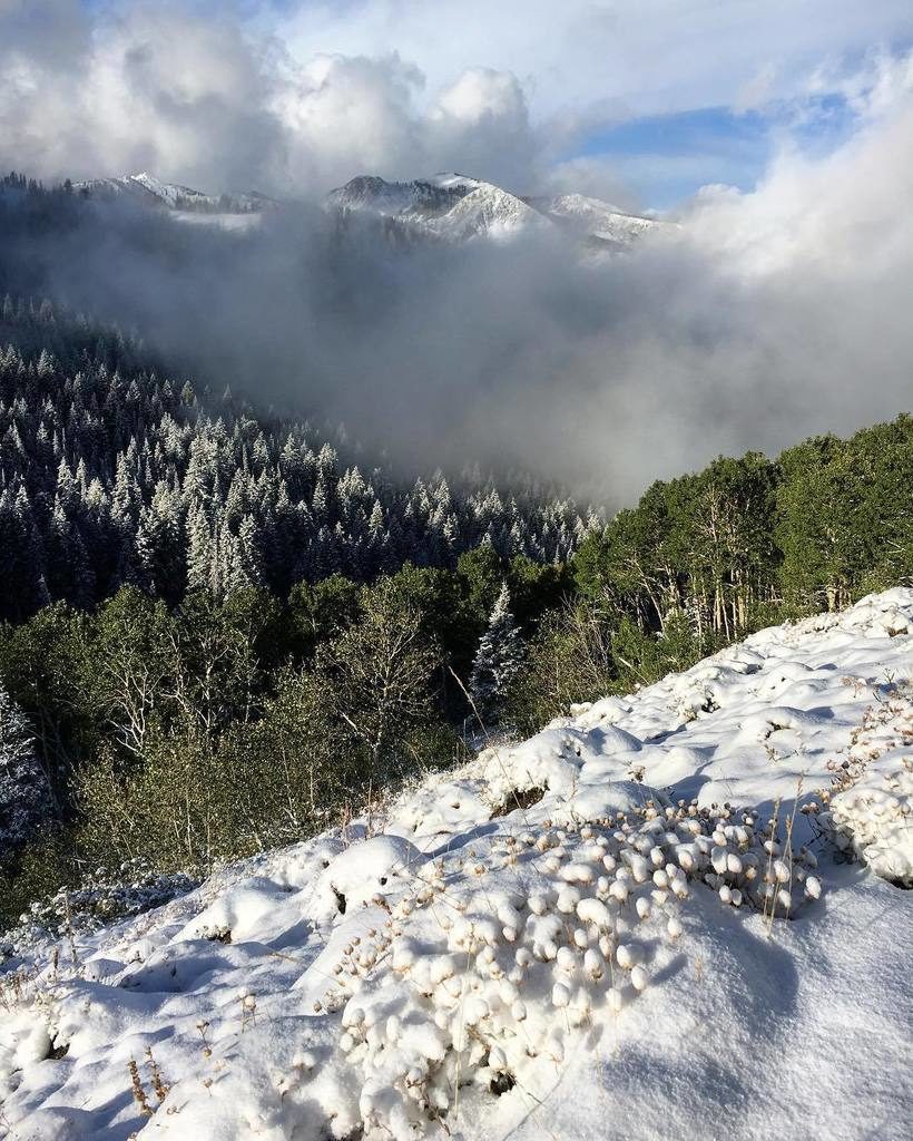 Click to enlarge Fresh snow in Big Cottonwood Canyon